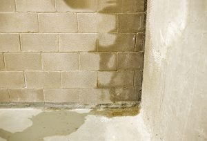 basement water seepage