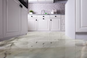 appliance leaks