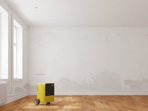 water damage recovery