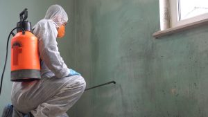 Mold Remediation