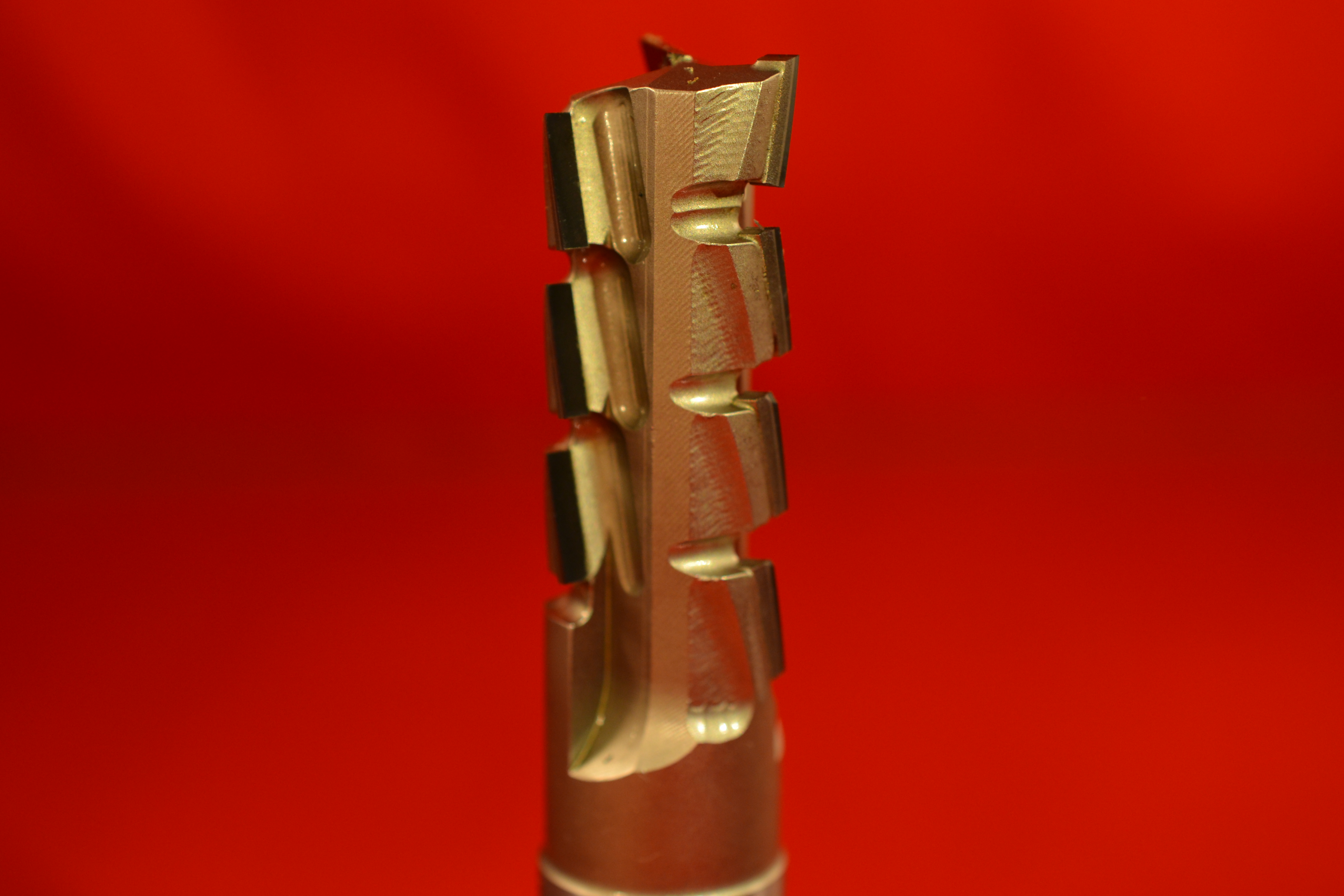DSC_0208